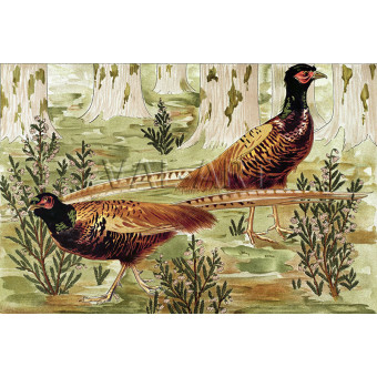 РЕПРОДУКЦИИ НА КАРТИНИ Обикновени фазани (1902)